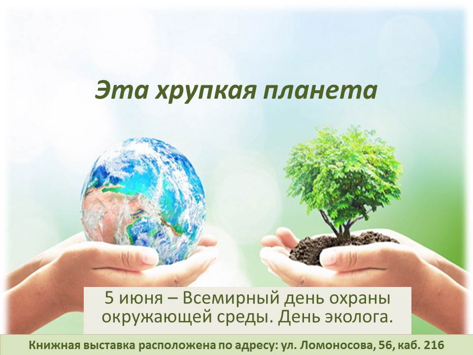  5 ���� - ��������� ���� ������ ���������� �����