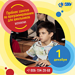 Пробное занятие по программированию для школьников